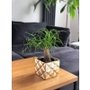 OSŁONKA CERAMICZNA ZŁOTA 14CM